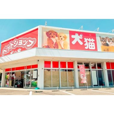 ペットショップ犬の家&猫の里 倉敷中庄店