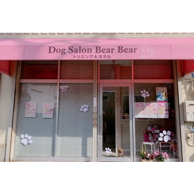 Dog Salon Bear Bear