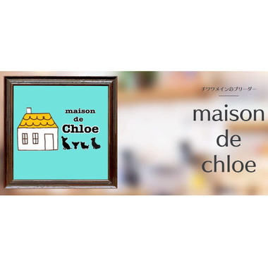 maison de Chloe