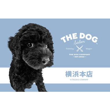 THE DOG Salon Trimming Wagon 横浜本店