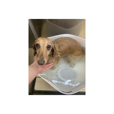 ちひろstyle【出張専門】