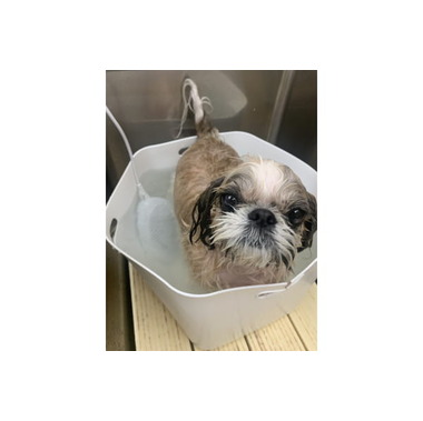 ちひろstyle【出張専門】