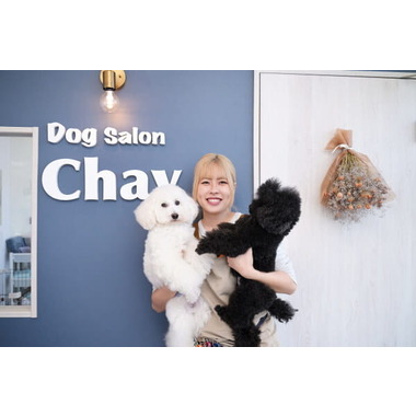 Dog Salon Chay