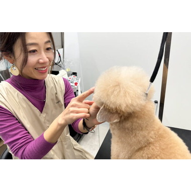 dog salon meet's 【2023年12月OPEN】
