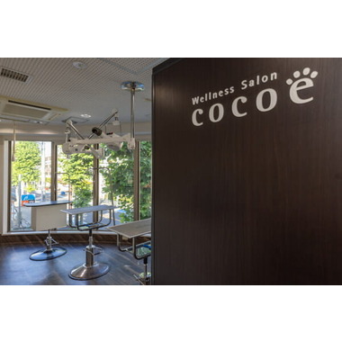 Wellness Salon cocoe