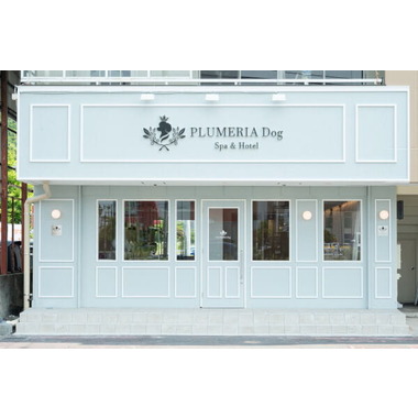 PLUMERIA Dog 中間店