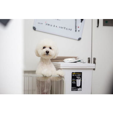 ワンルーク千代田区秋葉原店