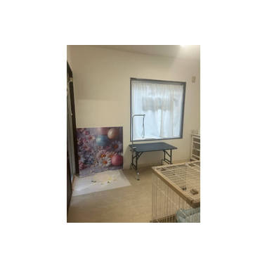 Lulu dog trimming 相模大野