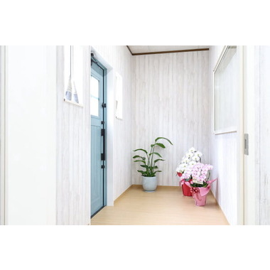 Dog Salon Chipie ✦11/2NewOpen✦