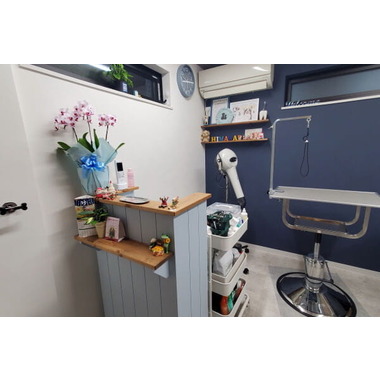 Dog Salon HIMAWARI【2024/11/11NEWオープン】