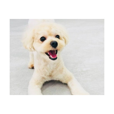 ワンルーク守山区中新店