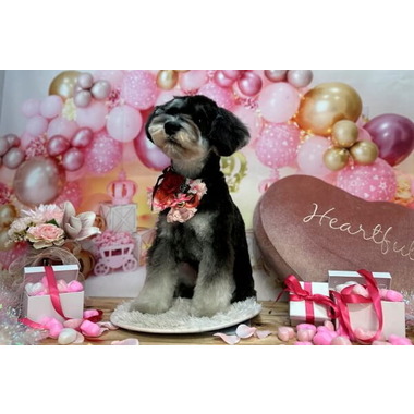 Huru Huru Dog Salon & Spa