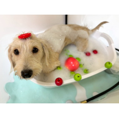 CHERIWANGE 目黒店 ✦3/12OPEN✦