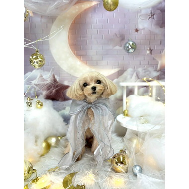 CHERIWANGE 目黒店 ✦3/12OPEN✦