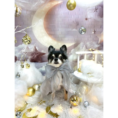 CHERIWANGE 目黒店 ✦3/12OPEN✦