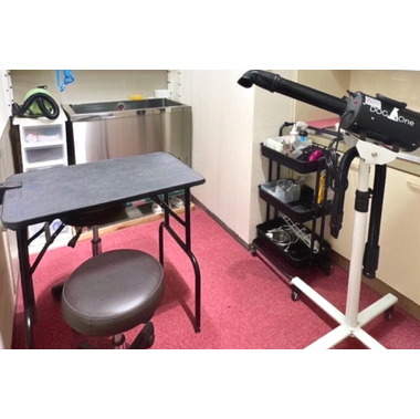 Artist salon LeaLea　✦2025年2月1日OPEN！✦