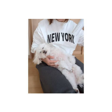 Pono 出張グルーミング&レッスン