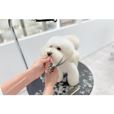 MERCURY DOG＆CAT 麻布店