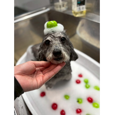 CHERIWANGE 八幡山店