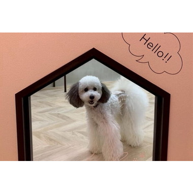 LUXBE DOG　宮崎ナナイロ店