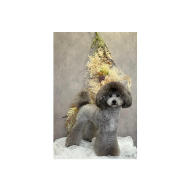 Trimming Salon ito -糸-