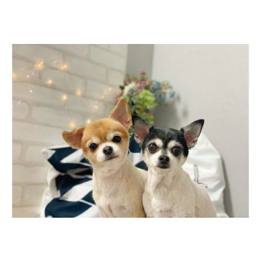 Cocop!n,【2025/10/3オープン】