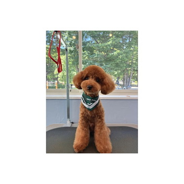 THE DOG™Salon SETAGAYA PARK