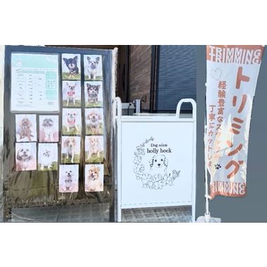 Dog salon holly hock ✦4/1 new open✦