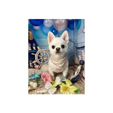 いちごみるく 瀬名中央店