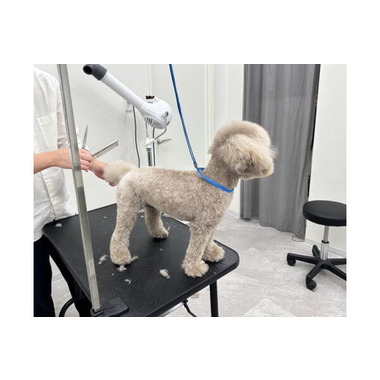 ワンルーク港区赤坂店