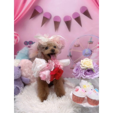 Dog Trimming Salon Sally 東山田店【8/2☆OPEN】