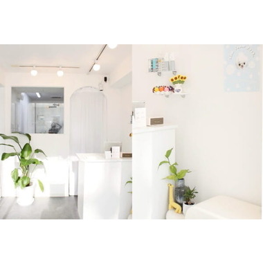 Dogsalon TOK. ✦6/2NEW OPEN✦