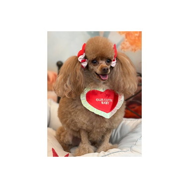 ワンルーク姫路土山店☆2025年9月5日オープン☆