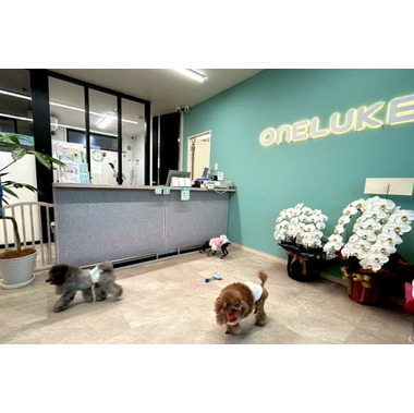 ワンルーク姫路土山店☆2025年9月5日オープン☆