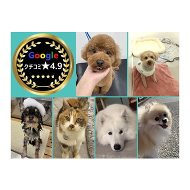 ワンルーク三重四日市店