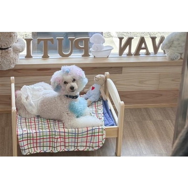 トリミングサロン&ホテル わんぷち【10月1日オープン】