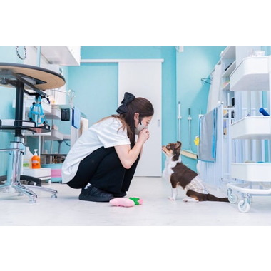 トリミングサロン MUSUBI ✦8月13日新規オープン✦