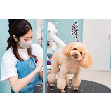 トリミングサロン MUSUBI ✦8月13日新規オープン✦