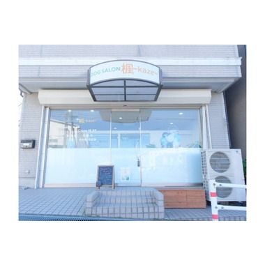 Dog salon 楓 ~kaze~ 【10月13日グランドオープン!!】