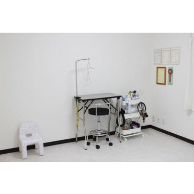 P'machie SHITODA ✦12/2新規OPEN✦