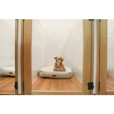 LUAM dog salon -3月19日open-