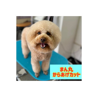 ハートワン 練馬関町店