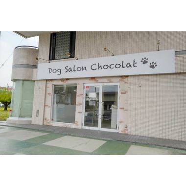 Dog salon chocolat