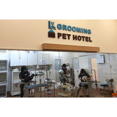 ペテモ各務原店（イオンペット）