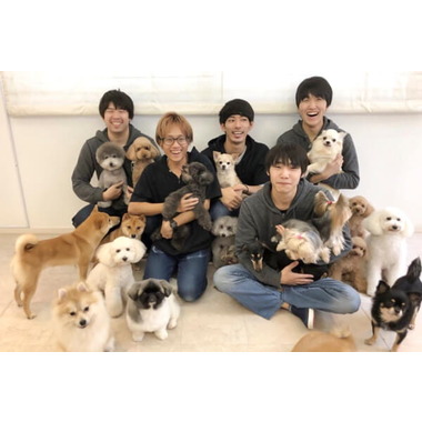Dogs Day Care Japan ～犬の託児所～