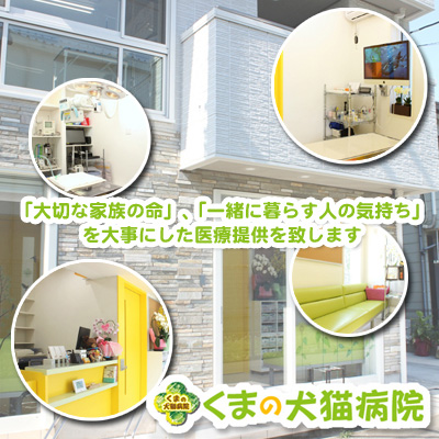 くまの犬猫病院 神奈川県座間市 Eparkペットライフ