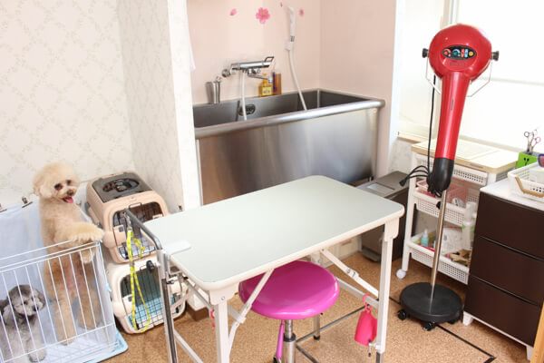 Trimming Room はらん ペットサロン トリミング 東京都葛飾区 Eparkペットライフ