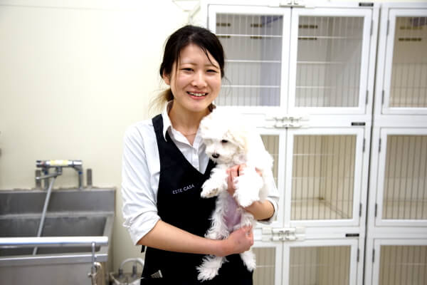 カインズペッツワン 伊勢崎店 ペットサロン トリミング 群馬県伊勢崎市 Eparkペットライフ