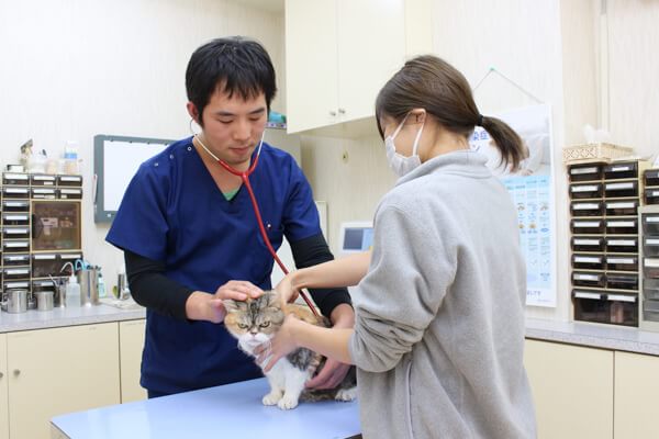 パスカル動物病院狭山 埼玉県狭山市 Eparkペットライフ