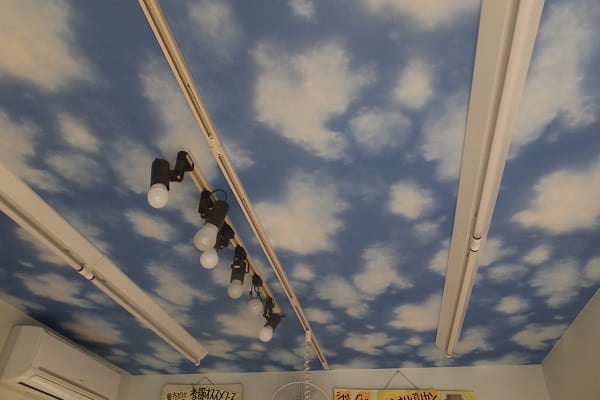 トリミングルームの天井は青空いっぱいです